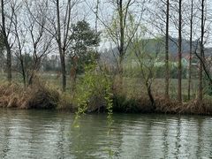 -白塔湖国家湿地公园