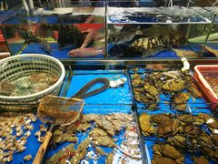 -大东海海鲜酒楼(渔人码头总店)