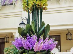 -利顺德大饭店·维多利亚花园(小白楼店)