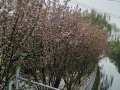 -南长河公园