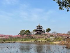 -上海海湾国家森林公园