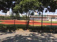-杭州市陈经纶体育学校