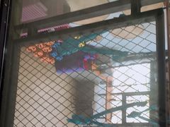 -LikingFit24小时健身•普拉提(张江店)