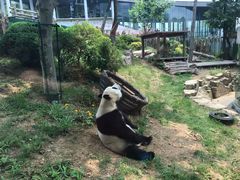 -大连森林动物园