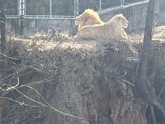 -石家庄市动物园