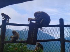 -峨眉山风景名胜区