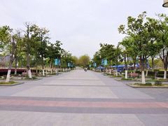 -白塘生态植物园