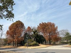 -上海怡沁园度假酒店