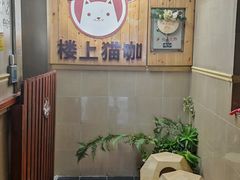 -楼上猫咖(罗湖店)
