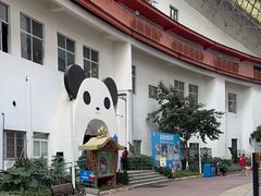 -海合安成都极地海洋公园