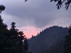 -武陵山森林公园