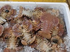 -东河市场