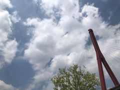 -阿姨卷饼(平凉路店)