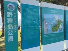 -野狸岛