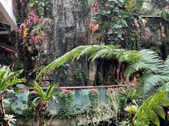-正佳雨林生态植物园