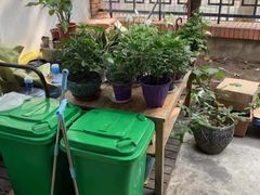 -璐坊粽王(复兴中路店)