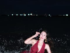 -巨鹏飞梦幻海岸