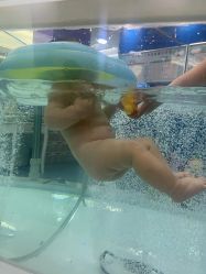 -海豚啵啵体智能游泳馆(惠山万达广场店)