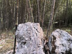 -杭州植物园