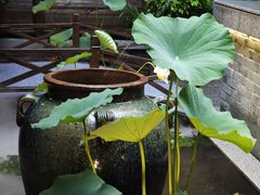 -花锦堂·隐庐