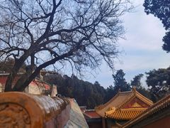 -颐和园