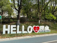 -聚龙山公园