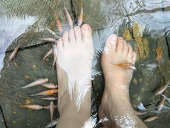 -三亚海棠湾南田温泉神龙谷