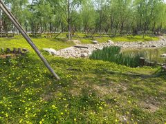-莲花池公园