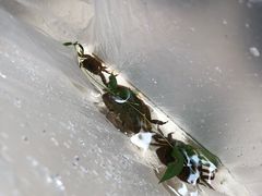 -青林口古镇