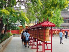 -护国法轮寺