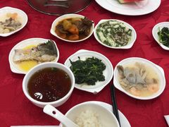 -上海市保健医疗中心