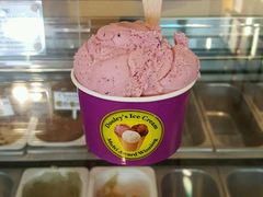 -Dooley's Premium Ice Cream