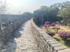 -广州莲花山旅游区