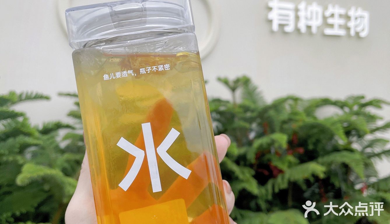 美林有个鱼世界