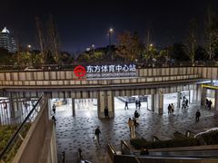 -东方体育中心(地铁站)