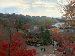 -有栖山 清光院 清水寺