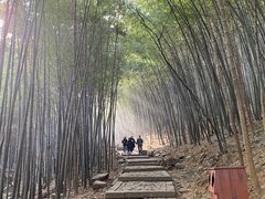 -穹窿山景区