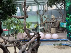 -正佳雨林生态植物园