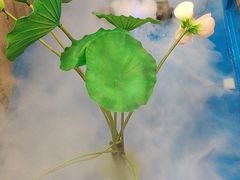 -历蜀记·家宴老火锅(总店)