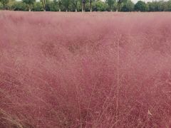 -汉长安城未央宫国家考古遗址公园