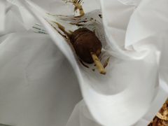 -老七饭馆(光荣道总店)