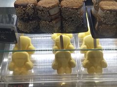 -野人先生现做冰淇淋(西安赛格店)