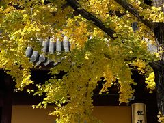 -龙华寺