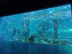 -哈尔滨波塞冬海底世界