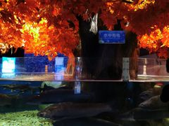 -成都浩海立方海洋公园