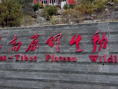 -青藏高原野生动物园