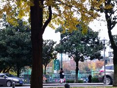 -西南交通大学九里校区-篮球场