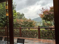 -十八棵（老龙井）御茶园(老龙井店)