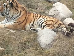 -西安秦岭野生动物园