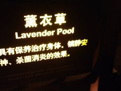 -天目湖涵田半山温泉水乐园